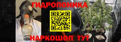 МДМА Можга